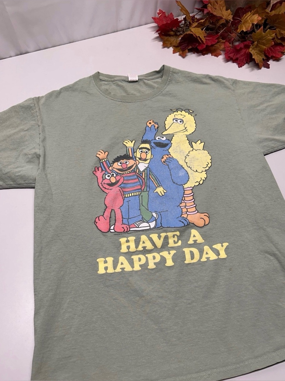 Vintage 'Have a Happy Day' Sesame Street Graphic Tee - Sage Green